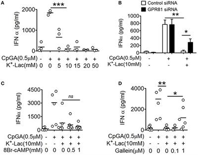 Lactate Induces Pro-tumor Reprogramming in Intratumoral Plasmacytoid Dendritic Cells